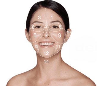 Dermalogica Face Mapping